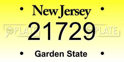 21729 New Jersey License Plate