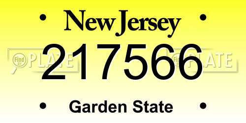217566 New Jersey License Plate