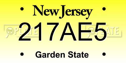 217AE5 New Jersey License Plate