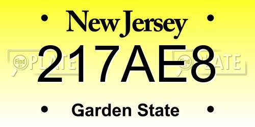 217AE8 New Jersey License Plate