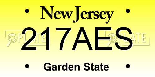 217AES New Jersey License Plate