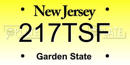 217TSF New Jersey License Plate