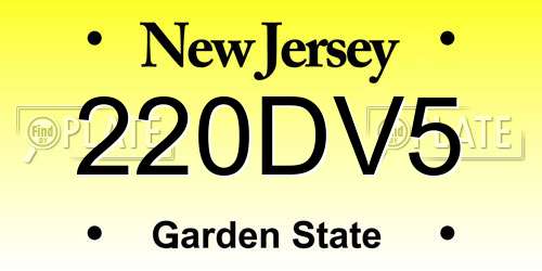 220DV5 New Jersey License Plate