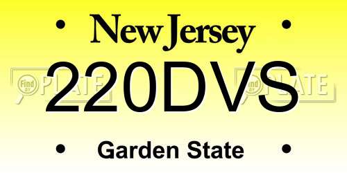220DVS New Jersey License Plate