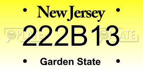 222B13 New Jersey License Plate