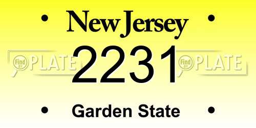 2231 New Jersey License Plate