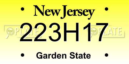 223H17 New Jersey License Plate