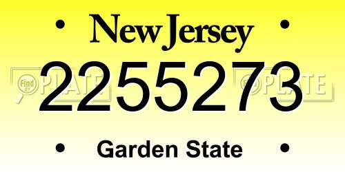 2255273 New Jersey License Plate