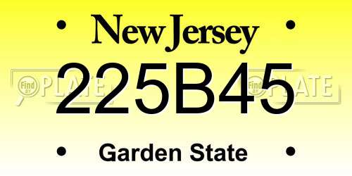 225B45 New Jersey License Plate