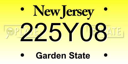 225Y08 New Jersey License Plate