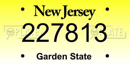 227813 New Jersey License Plate