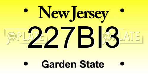 227BI3 New Jersey License Plate