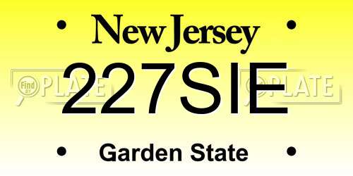 227SIE New Jersey License Plate
