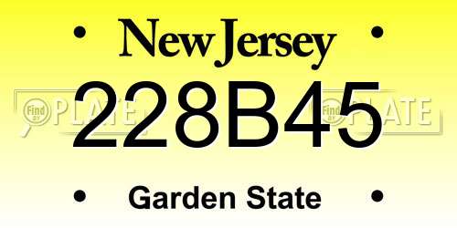 228B45 New Jersey License Plate