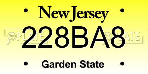 228BA8 New Jersey License Plate