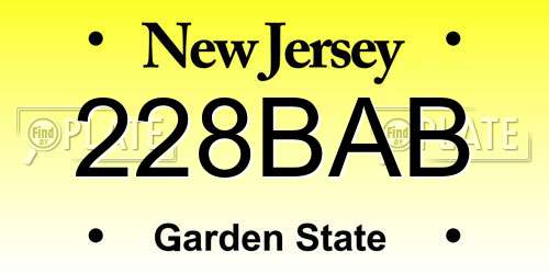 228BAB New Jersey License Plate