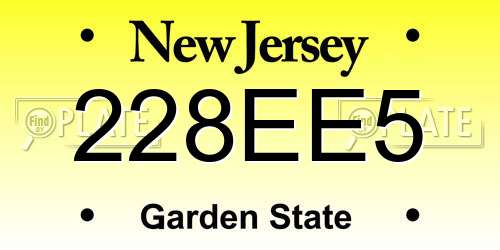 228EE5 New Jersey License Plate