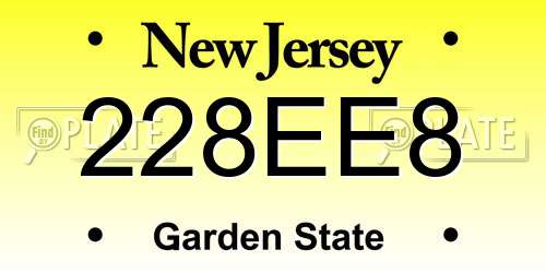 228EE8 New Jersey License Plate