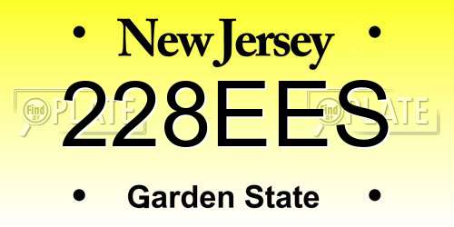 228EES New Jersey License Plate