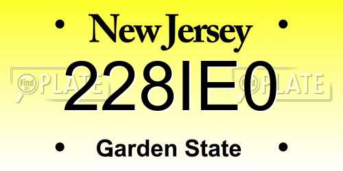 228IE0 New Jersey License Plate