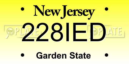 228IED New Jersey License Plate