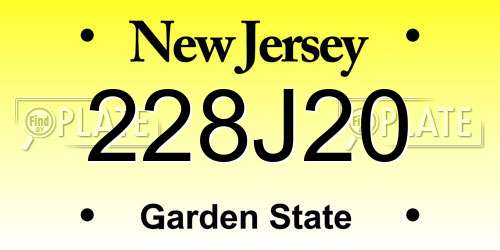 228J20 New Jersey License Plate