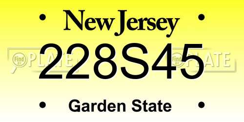228S45 New Jersey License Plate