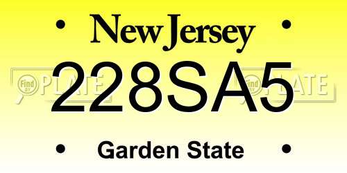 228SA5 New Jersey License Plate