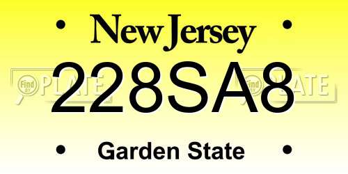 228SA8 New Jersey License Plate