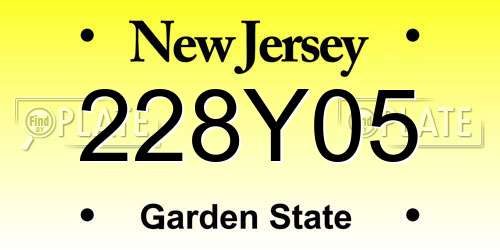 228Y05 New Jersey License Plate
