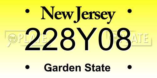 228Y08 New Jersey License Plate