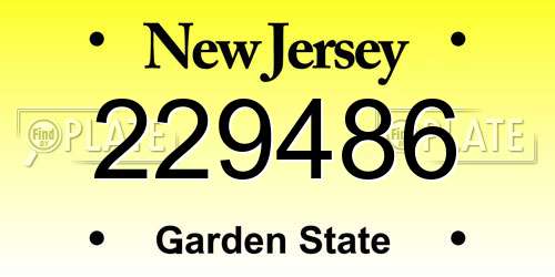 229486 New Jersey License Plate