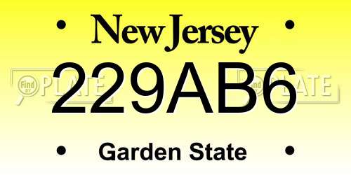 229AB6 New Jersey License Plate