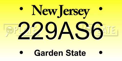 229AS6 New Jersey License Plate