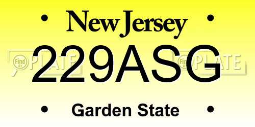 229ASG New Jersey License Plate