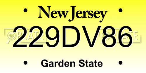 229DV86 New Jersey License Plate