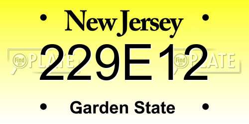229E12 New Jersey License Plate
