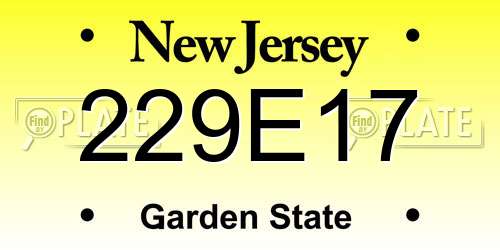 229E17 New Jersey License Plate