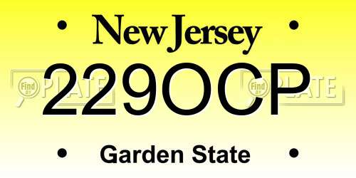 229OCP New Jersey License Plate