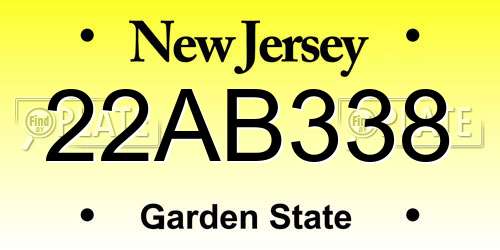 22AB338 New Jersey License Plate