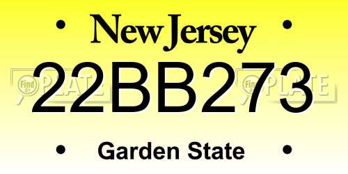 22BB273 New Jersey License Plate