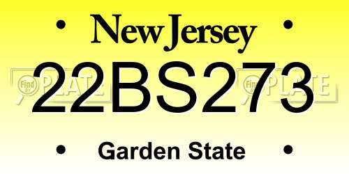 22BS273 New Jersey License Plate