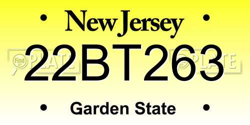 22BT263 New Jersey License Plate