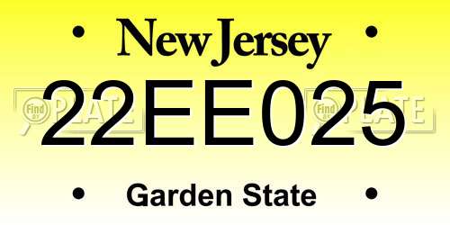 22EE025 New Jersey License Plate