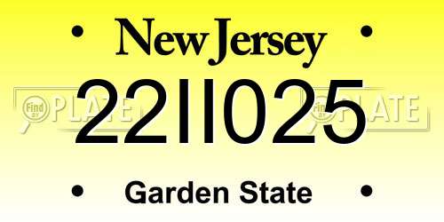 22II025 New Jersey License Plate