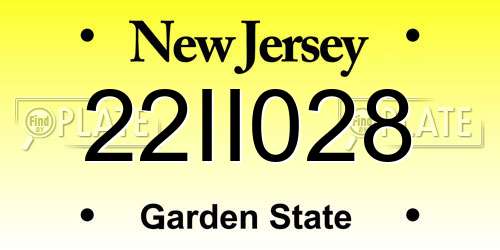 22II028 New Jersey License Plate