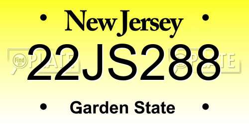 22JS288 New Jersey License Plate