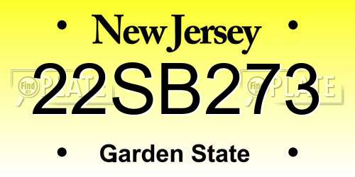 22SB273 New Jersey License Plate