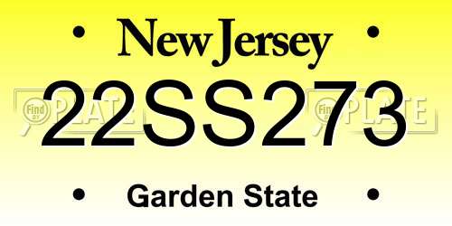 22SS273 New Jersey License Plate
