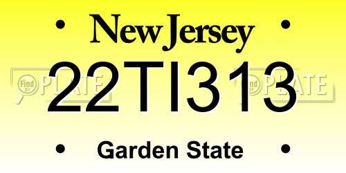 22TI313 New Jersey License Plate